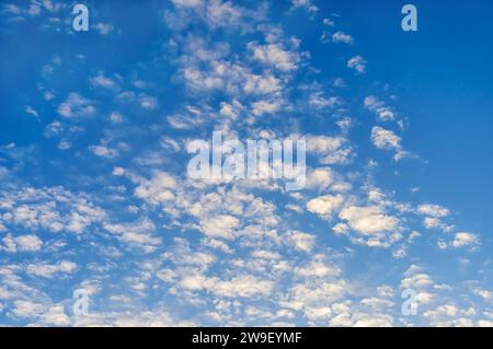 La beauté naturelle des nuages pennés gonflés flottant paresseusement à travers le ciel d'été. Banque D'Images