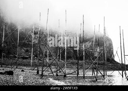 Cadre de filet de pêche traditionnel sur la plage de l'île Partridge, sur la rive du bassin Minas et de la baie de Fundy, près de Parrsboro, en Nouvelle-Écosse. Banque D'Images