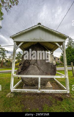 Slab d'arbres dans le parc municipal de Coupeville sur l'île Whidbey Banque D'Images