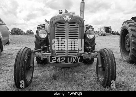 Low Ham.Somerset.Royaume-Uni.23 juillet 2023.Un tracteur Massey Ferguson 35 restauré est exposé au Somerset Steam and Country Show Banque D'Images