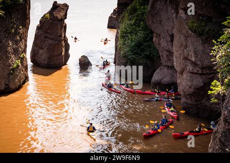 L'érosion côtière a créé des affleurements en pierre « pot de fleurs » que les touristes peuvent parcourir à marée basse dans le parc provincial Hopewell Rocks au Nouveau-Brunswick. Banque D'Images