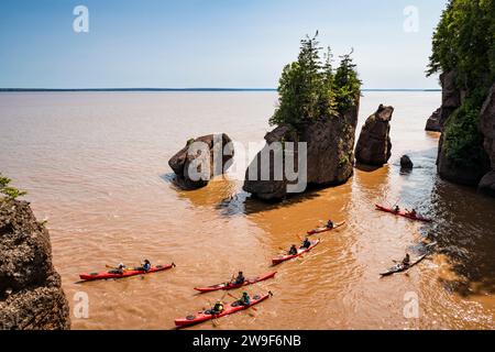 L'érosion côtière a créé des affleurements en pierre « pot de fleurs » que les touristes peuvent parcourir à marée basse dans le parc provincial Hopewell Rocks au Nouveau-Brunswick. Banque D'Images