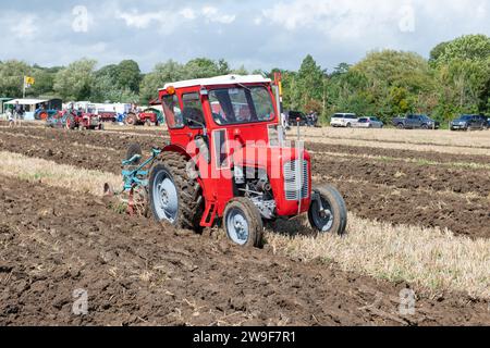 Drayton.Somerset.Royaume-Uni.19 août 2023.Un Massey Ferguson 35 laboure un champ lors d'un match de labourage lors d'un événement Farmring d'antan Banque D'Images