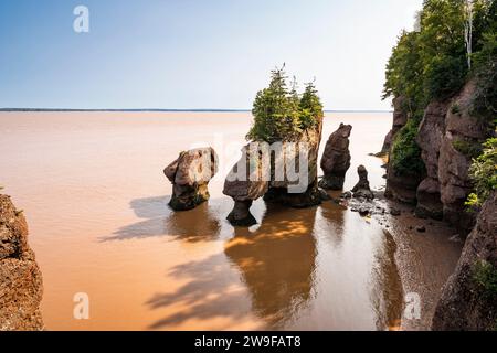 L'érosion côtière a créé des affleurements en pierre « pot de fleurs » que les touristes peuvent parcourir à marée basse dans le parc provincial Hopewell Rocks au Nouveau-Brunswick. Banque D'Images