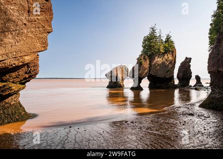 L'érosion côtière a créé des affleurements en pierre « pot de fleurs » que les touristes peuvent parcourir à marée basse dans le parc provincial Hopewell Rocks au Nouveau-Brunswick. Banque D'Images