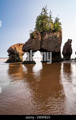 L'érosion côtière a créé des affleurements en pierre « pot de fleurs » que les touristes peuvent parcourir à marée basse dans le parc provincial Hopewell Rocks au Nouveau-Brunswick. Banque D'Images