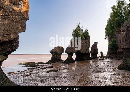 L'érosion côtière a créé des affleurements en pierre « pot de fleurs » que les touristes peuvent parcourir à marée basse dans le parc provincial Hopewell Rocks au Nouveau-Brunswick. Banque D'Images