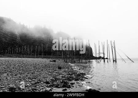 Cadre de filet de pêche traditionnel sur la plage de l'île Partridge, sur la rive du bassin Minas et de la baie de Fundy, près de Parrsboro, en Nouvelle-Écosse. Banque D'Images