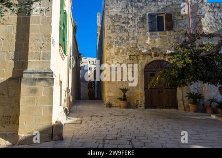 Une ruelle étroite dans la vieille ville de Mdina, à Malte, passe devant une lourde porte en bois cintrée flanquée de plantes en pot. Mdina, la "Cité silencieuse", a servi de lieu de tournage pour la première saison de Game of Thrones en 2011. Banque D'Images