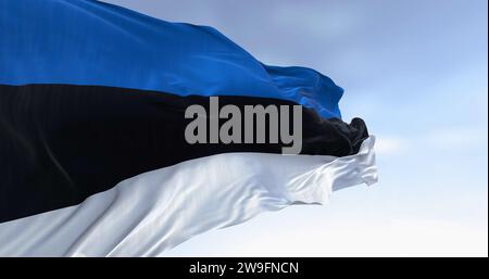 Gros plan du drapeau national de l'Estonie agitant dans le vent par temps clair. Tricolore horizontal avec trois bandes égales de bleu, noir et blanc. 3d il Banque D'Images