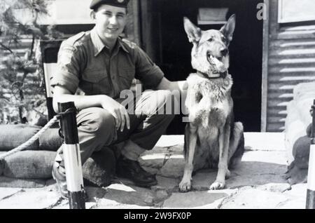 Un soldat du Dorset Regiment avec un alsacien à un poste de garde en Corée du Sud, vers 1954-1955. Banque D'Images
