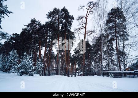 Ryazan, Russie - 16 décembre 2023 : Paysage d'hiver avec des arbres enneigés et des maisons en bois dans le village Banque D'Images