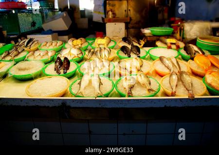 Poisson sur glace sur étal de poisson Banque D'Images