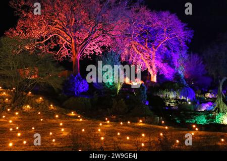 Alpine Meadow and Rock Garden, Glow 2023, RHS Garden Wisley, Woking, Surrey, Angleterre, Grande-Bretagne, Royaume-Uni, Royaume-Uni, Europe Banque D'Images