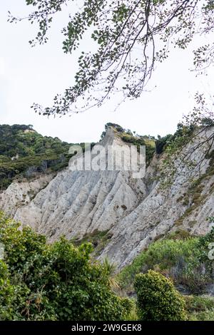 Une photo de la falaise rocheuse située au cap palliser à Wellington, en Nouvelle-Zélande. C'est à part les pinacles Banque D'Images