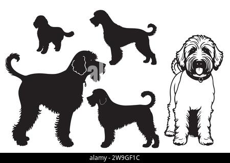 Collection de vecteur silhouette de chiens, de petit à grand. Symbole d'animal et d'animal de compagnie. Illustration de Vecteur