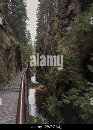 Zackelfall en Pologne montagnes Krkonose Banque D'Images