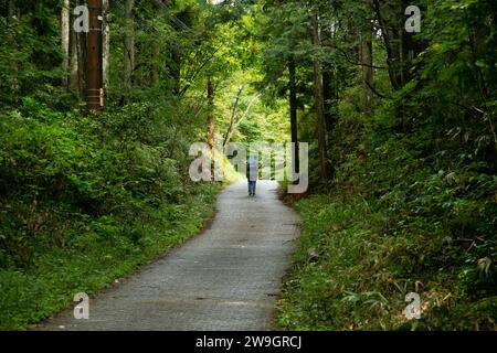 Marcher sur la route suivant le sentier Nakasendo entre Nagiso et Tsumago dans la vallée de Kiso, Japon. Banque D'Images