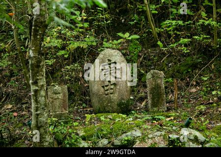 Pierre sculptée avec des motifs religieux dans une forêt au Japon. Banque D'Images