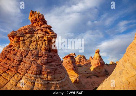 Formations de grès navajo érodées dans South Coyote Buttes, Vermilion Cliffs National Monument, Arizona. Banque D'Images