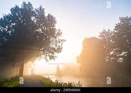 Cette image présente une vue onirique où un sentier pavé serpente le long d'une rivière, tous deux enveloppés dans un brouillard matinal radieux. Les arbres, pleins et luxuriants, se dressent haut sur la gauche, leurs contours adoucis par la brume brillante. La lumière du soleil traverse la brume, créant un contraste éclatant d'ombres et de lumières qui jouent à travers la scène. Un banc sous l'arbre suggère un endroit parfait pour la contemplation. En arrière-plan, un petit pont sur la rivière ajoute une touche pittoresque au paysage pastoral. L'effet global est celui d'une promenade matinale sereine, presque éthérée, accueillante et pleine de merveilles tranquilles. Banque D'Images