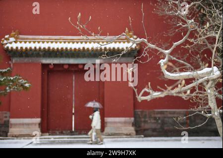 (231228) -- PÉKIN, 28 déc. 2023 (Xinhua) -- cette photo prise le 14 décembre 2023 montre une porte du temple ancestral impérial dans des chutes de neige à Pékin, capitale de la Chine. Créé sous la dynastie Yuan (1271-1368), l'axe central de Pékin, ou Zhongzhouxian, s'étend sur 7,8 kilomètres entre la porte de Yongding au sud de la ville et la Tour du tambour et du clocher au nord. La plupart des grands bâtiments de la vieille ville de Pékin se trouvent le long de cet axe. Portes, palais, temples, places et jardins de la vieille ville sont tous reliés à l'axe. Comme ils ont été témoins des activités folkloriques le long de la ligne Banque D'Images