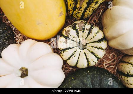 Différentes variétés de citrouilles colorées sur un étal de marché de producteurs biologiques Banque D'Images