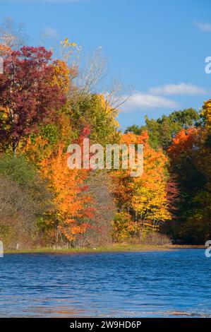 Bassin inférieur à l'automne, AW Stanley Park, New Britain, Connecticut Banque D'Images