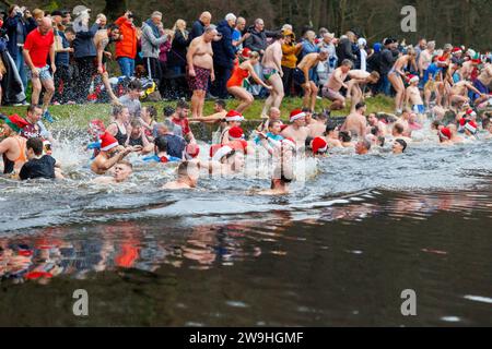 Le matin de Noël annuel, plongez dans la piscine Blackroot à Sutton Coldfield Park. Sur le coup de 10h du matin, les gens vêtus de costumes festifs, plongent, sautent, s’abaissent dans l’eau. Banque D'Images