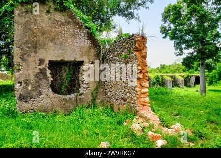 Ruines historiques de Trocha Mariel Majana, Cuba Banque D'Images