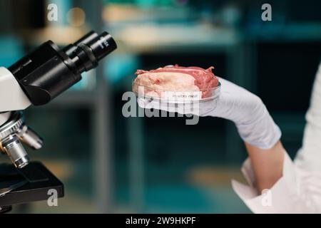 Gros plan de la main du scientifique tenant une boîte de Pétri avec un morceau de viande Banque D'Images