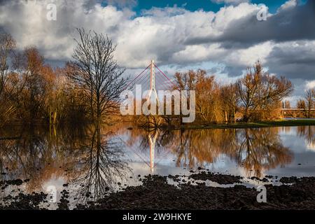 Inondation sur le Rhin dans la belle lumière de l'après-midi Banque D'Images