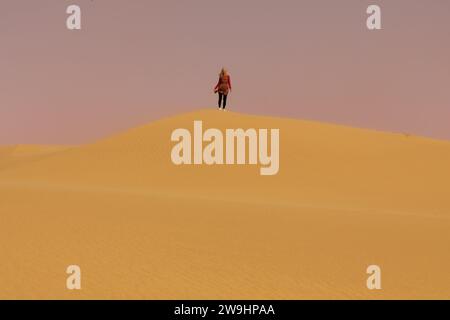 Une femme solitaire au loin au sommet d'une dune de sable dans le désert du Namib en Namibie. Banque D'Images