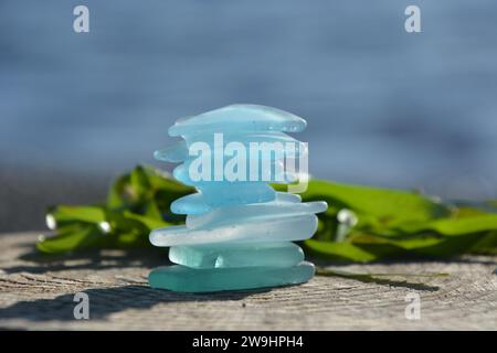Art original par moi. Aqua et verre de mer clair avec des algues vertes au soleil sur bois flotté. Banque D'Images
