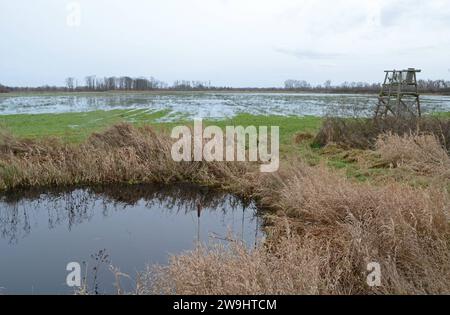 27.12.2023 Drömling/ Hochwasser Deutschland/ Sachsen Anhalt/ Altmark/ Altmarkkreis Salzwedel/ Naturpark Drömling/ Biosphärenreservat/ an der Strasse zwischen Röwitz und Buchhorst/ mit Wasser gefüllter Entwässerungsgraben/ vom Dauerregen überflutete Wiesen/ rechts im Bild ein Hochsitz/ Jagdkanzel *** 27 12 2023 Drömling Flood Allemagne Saxe Anhalt Altmark Altmarkkreis Salzwedel Parc naturel Drömling Réserve de biosphère sur la route entre Röwitz et Buchhorst fossé de drainage rempli avec des prairies d'eau inondées par la pluie continue droit dans l'image un pavillon de chasse de siège élevé Banque D'Images