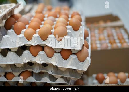 Œufs de ferme dans des boîtes en carton d'œufs dans le magasin. ECO Bio Organic Products Food Banque D'Images