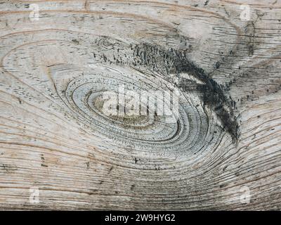 Nœud sur une vieille planche de bois découpée non peinte Banque D'Images