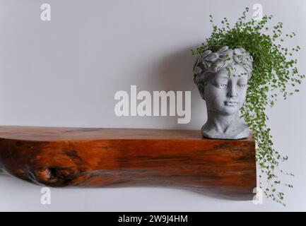 Une plante d'intérieur de larmes de bébé (Soleirolia soleirolii) traînant vers le bas d'un pot de plante de tête grecque fixé sur une cheminée en bois - placé sur un fond blanc Banque D'Images