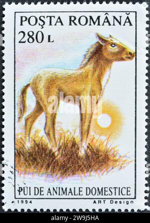 Timbre-poste annulé imprimé par la Roumanie, qui montre foal (Equus ferus caballus), vers 1994. Banque D'Images