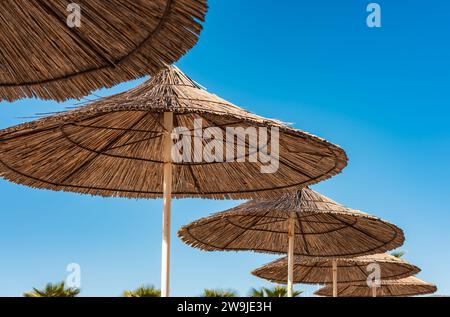 Parasols de plage Reed. Rangée de parasols sur une plage de sable. Parapluies de paille, palmiers. Personne, espace de copie pour le texte, photo de voyage Banque D'Images