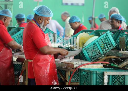 Gouttières au marché central aux poissons de Jeddah Banque D'Images