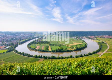 Boucle du Neckar près de Mundelsheim, Neckar, vignobles, vallée du Neckar, Baden-Wuerttemberg, Allemagne Banque D'Images