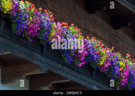 Fleurs d'été, pétunias (pétunia) et géraniums (Pelargonium) sur un balcon d'une ancienne ferme, Reit im Winkl, haute-Bavière, Bavière, Allemagne Banque D'Images