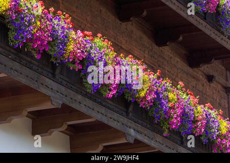 Fleurs d'été, pétunias (pétunia) et géraniums (Pelargonium) sur un balcon d'une ancienne ferme, Reit im Winkl, haute-Bavière, Bavière, Allemagne Banque D'Images