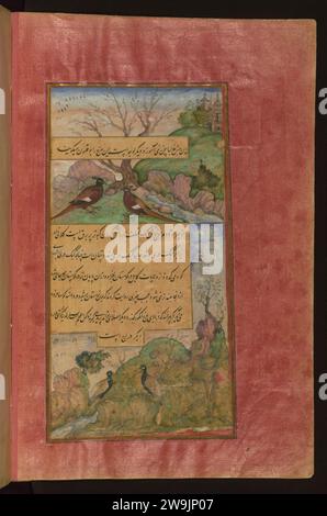 Zahir al-DIN Muhammad Babur - oiseaux de l'Hindustan - Luchas, appelé Buqalamun, et perdrix Banque D'Images