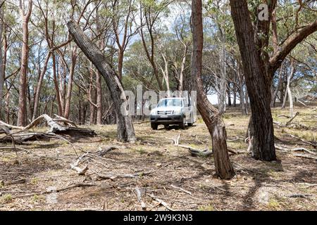 Paysage australien conduisant hors route dans la brousse dans Mazda BT50 ute véhicule utilitaire, Central West NSW, Australie Banque D'Images