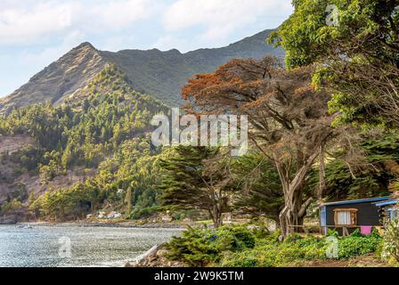 Paysage côtier à Cumberland Bay, Juan Fernandez, Chili, Amérique du Sud Banque D'Images