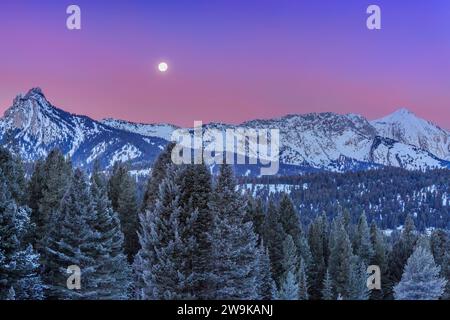 pleine lune couchant dans un ciel pré-aube au-dessus des montagnes bridger près de bozeman, montana Banque D'Images