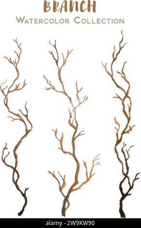 Vector Set de belle collection d'aquarelle dessinée à la main de branches pour les dessins et les cartes Illustration de Vecteur