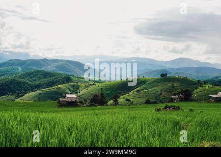 Vue de paysage de rizières en terrasse verte à Pa pong Pieng , Chiang Mai, Thaïlande sur Sunset time.landscape avec des montagnes. Terrasse de riz dans le mont Banque D'Images